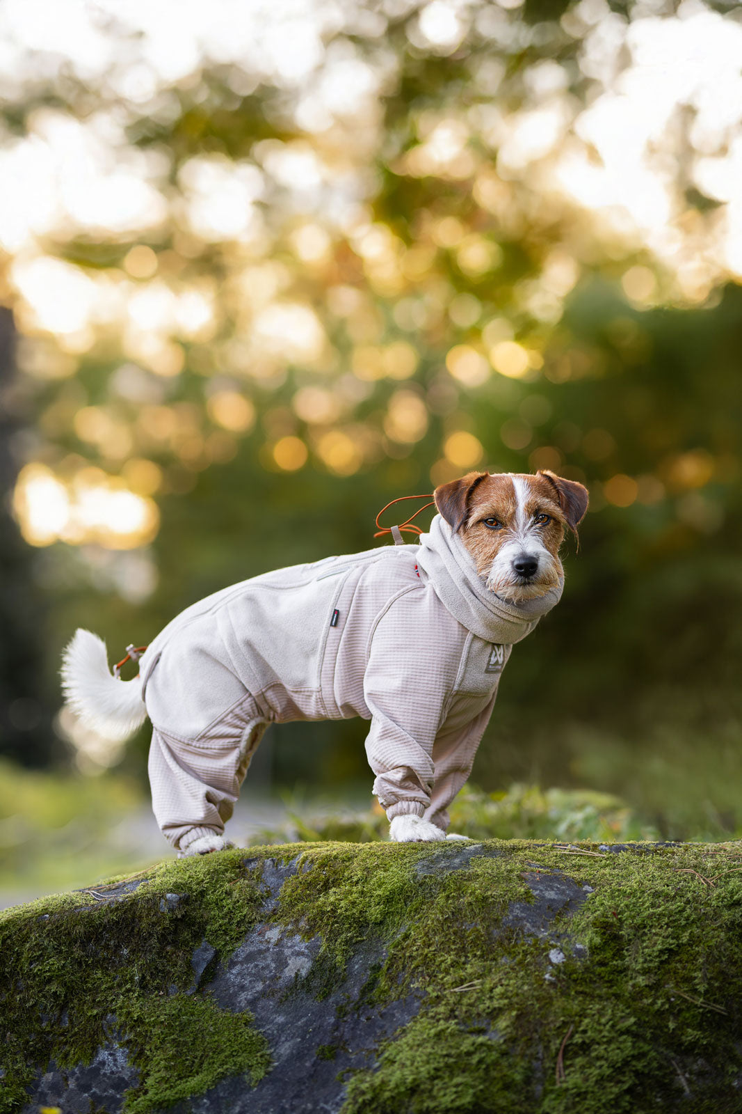 Non-stop dogwear Trail Quest Fleece Overall