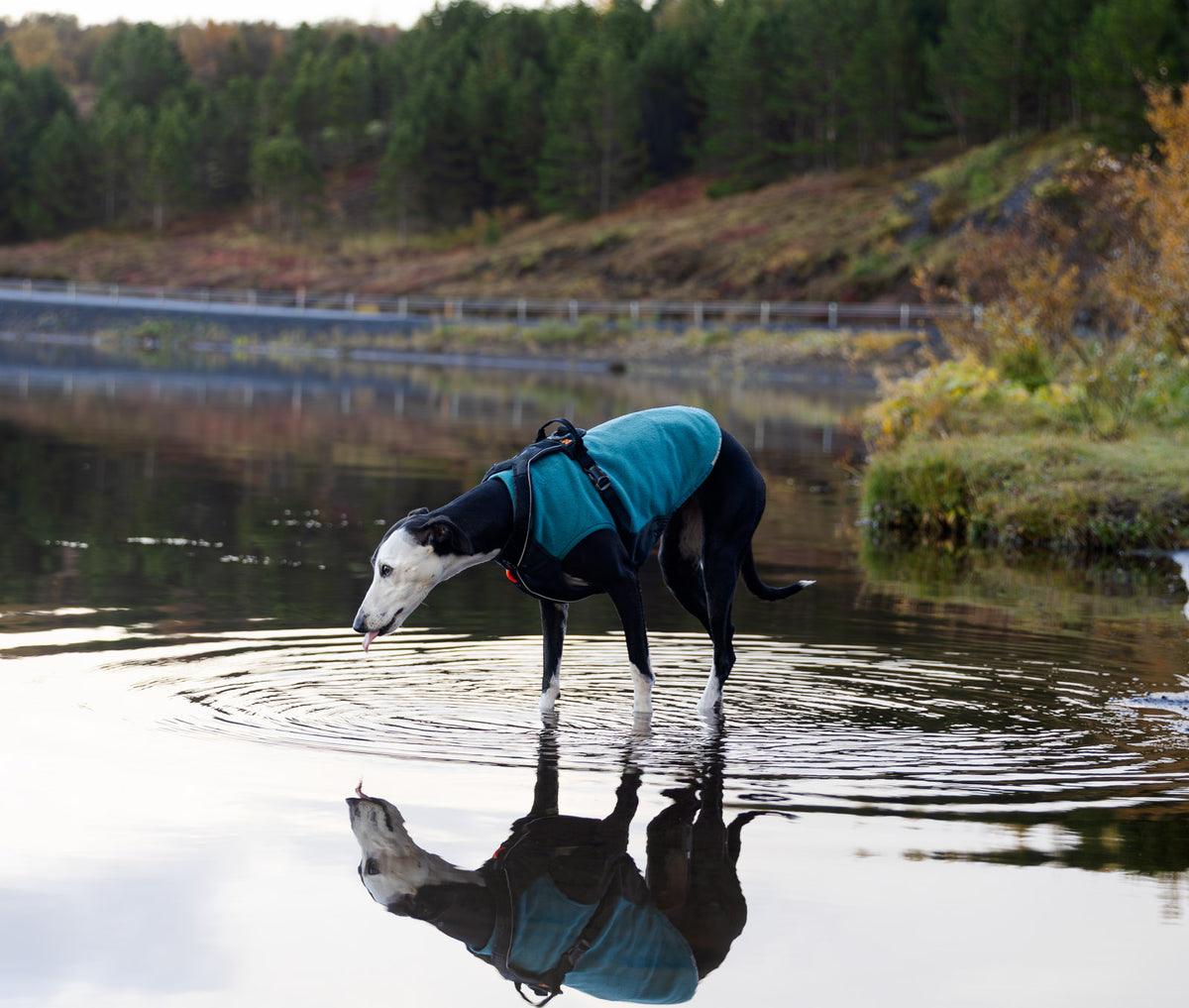 Non-stop dogwear Trail Quest Fleece Pullover