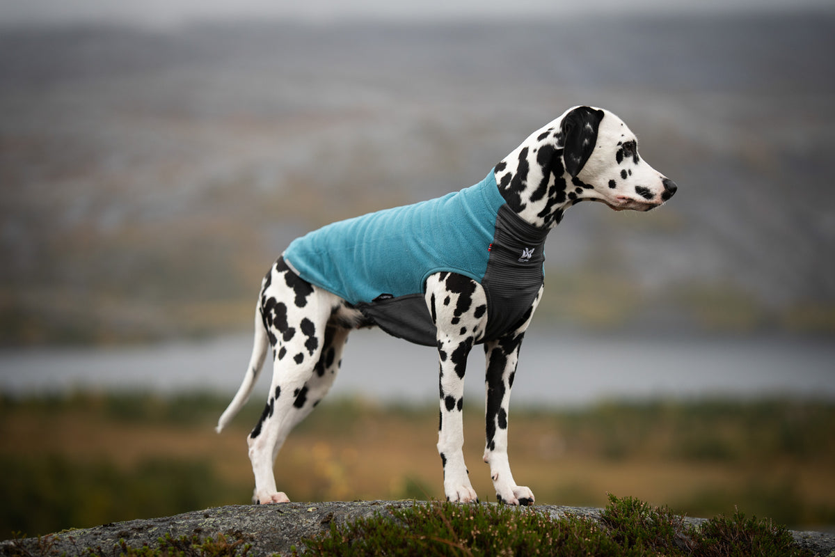 Non-stop dogwear Trail Quest Fleece Pullover