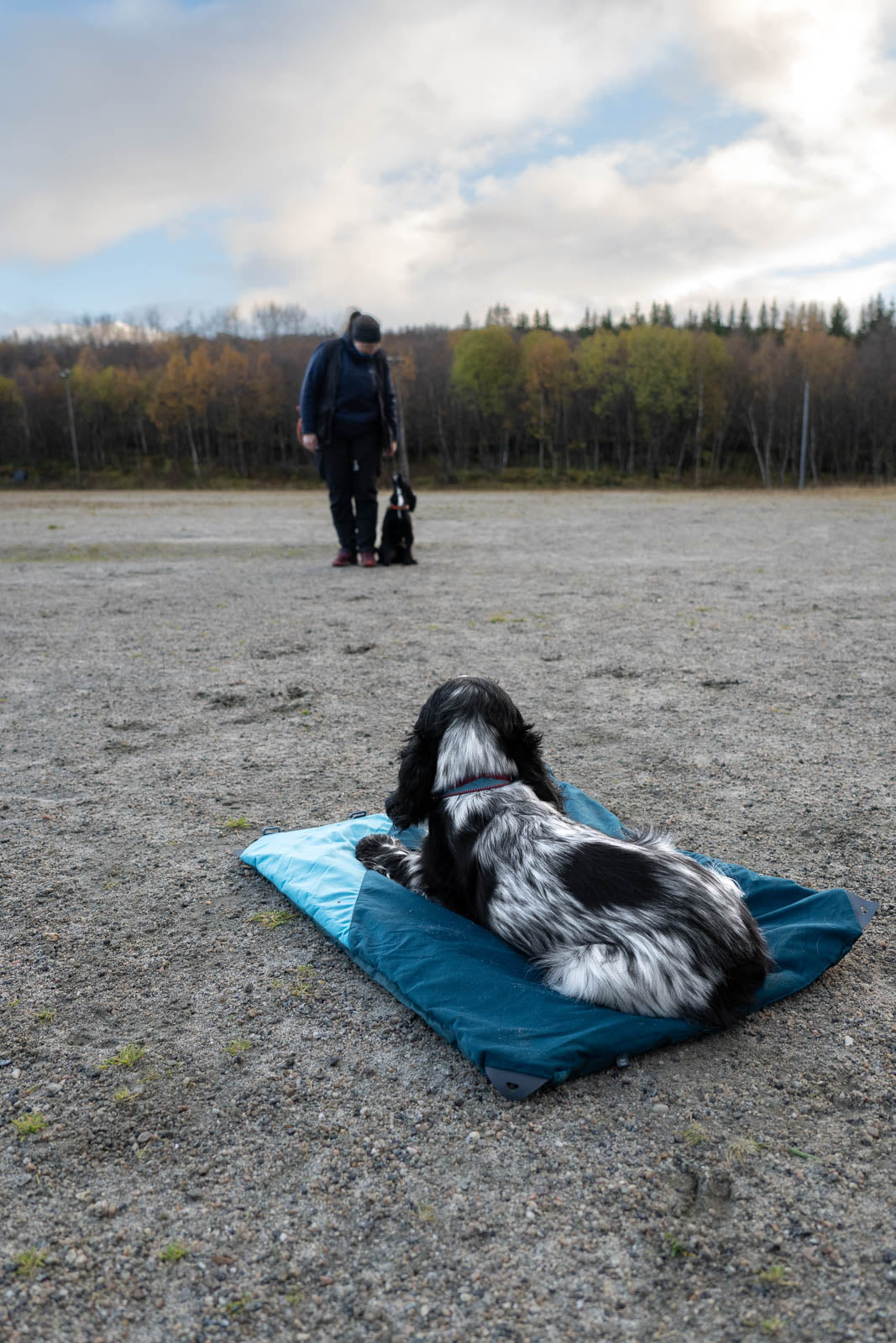 Non-stop dogwear Trekking Dog Bed