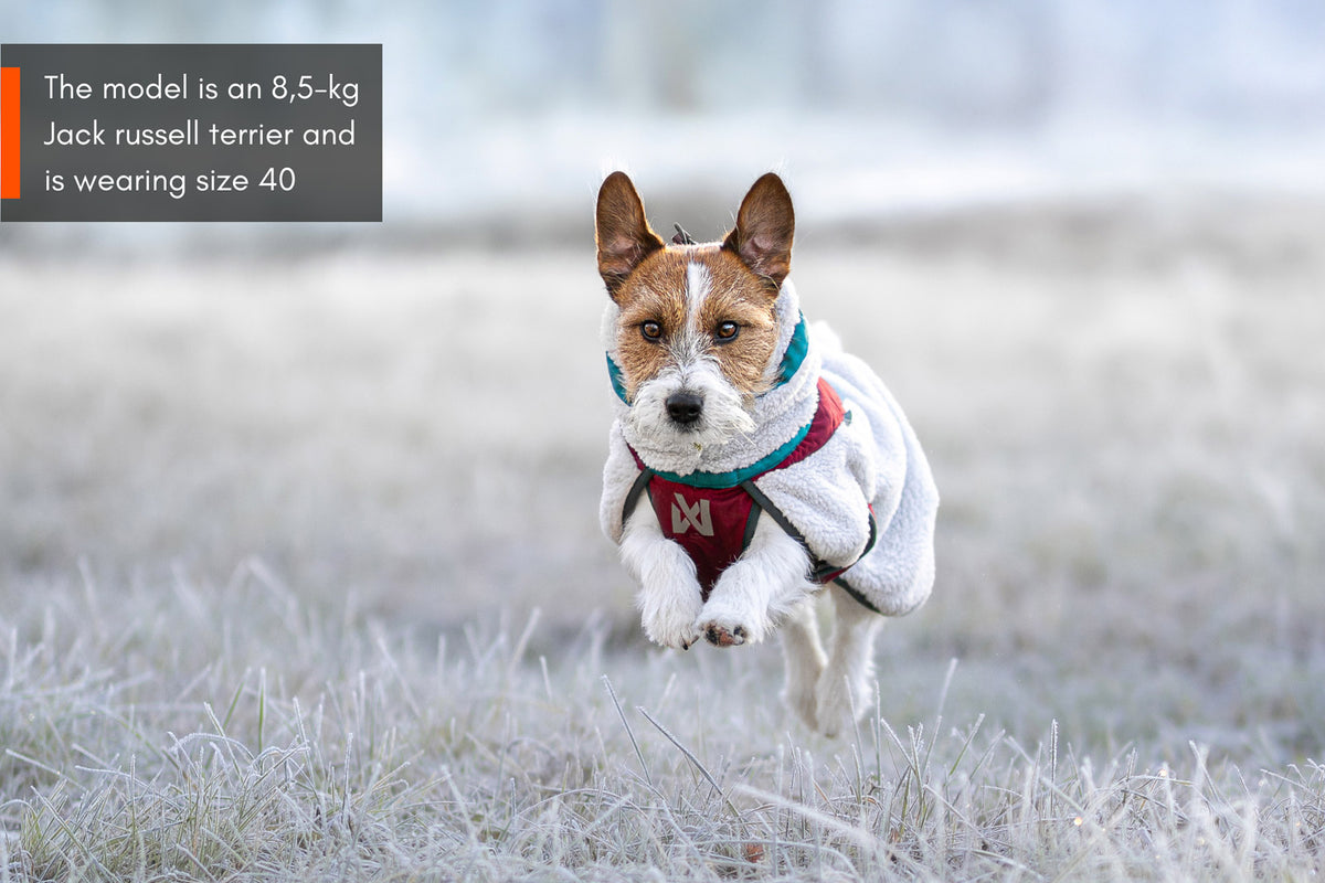 Non-stop dogwear Trekking Fleece Dog Jacket