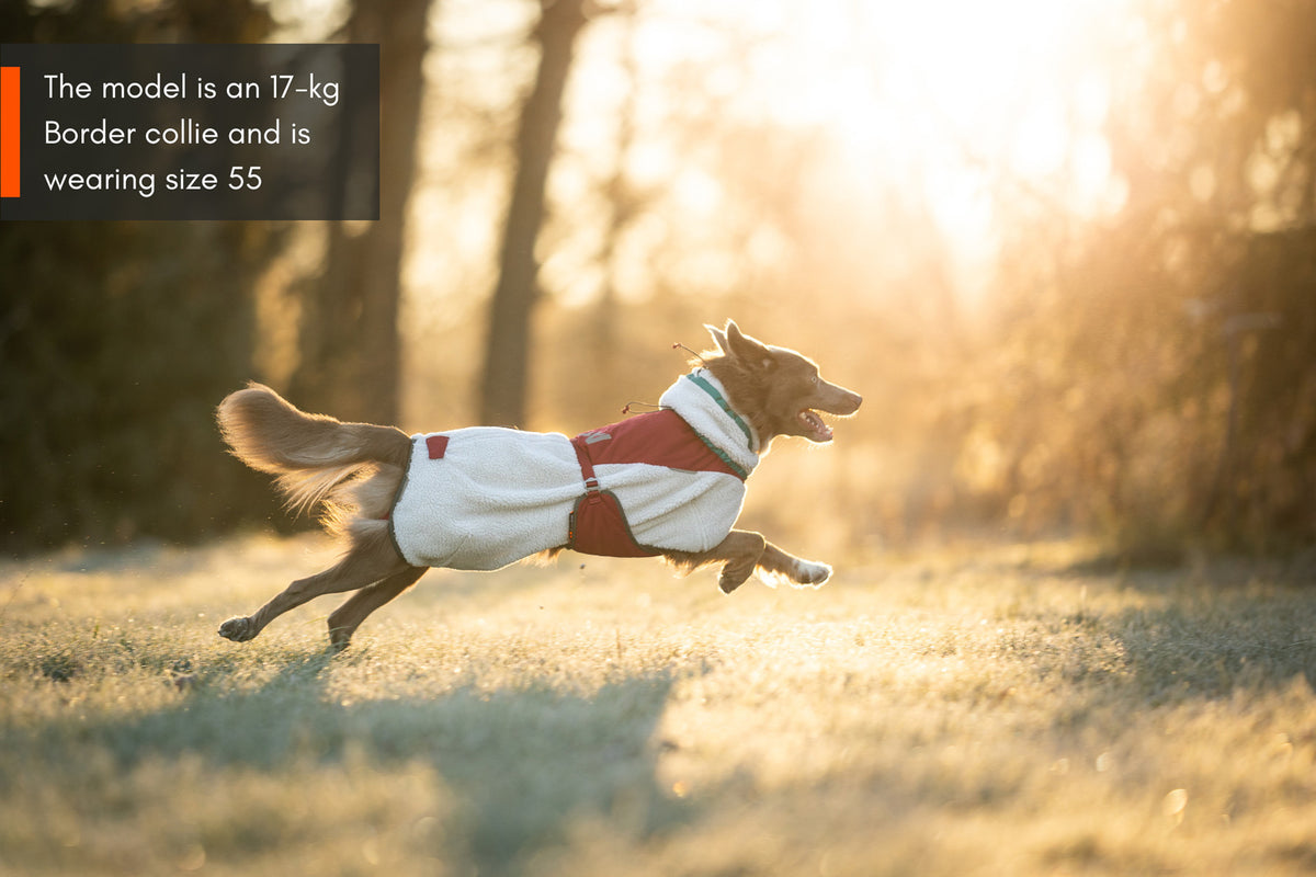 Non-stop dogwear Trekking Fleece Dog Jacket