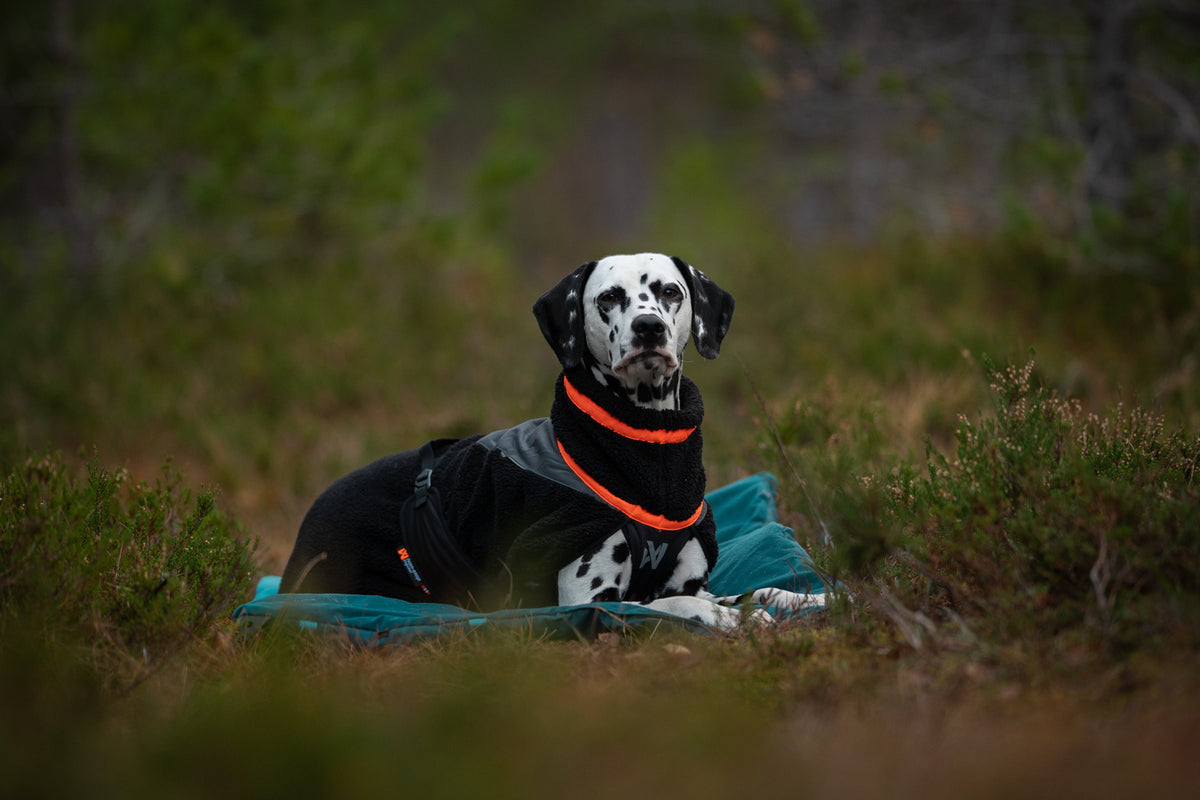 Non-stop dogwear Trekking Fleece Dog Jacket