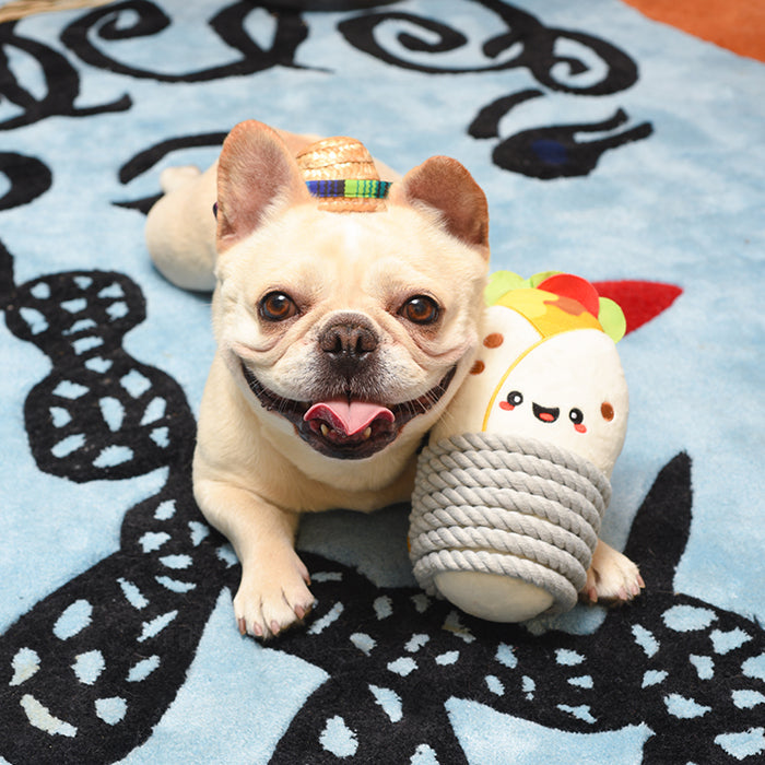 Dog beside HugSmart Burrito plush and rope toy