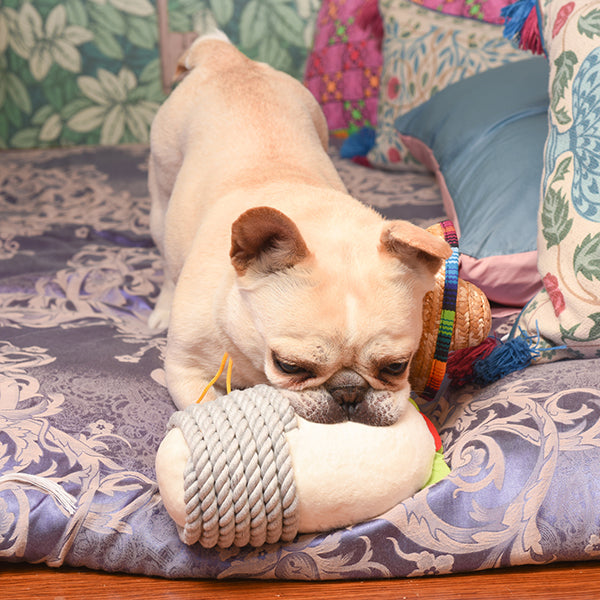 Dog playing with HugSmart Burrito toy