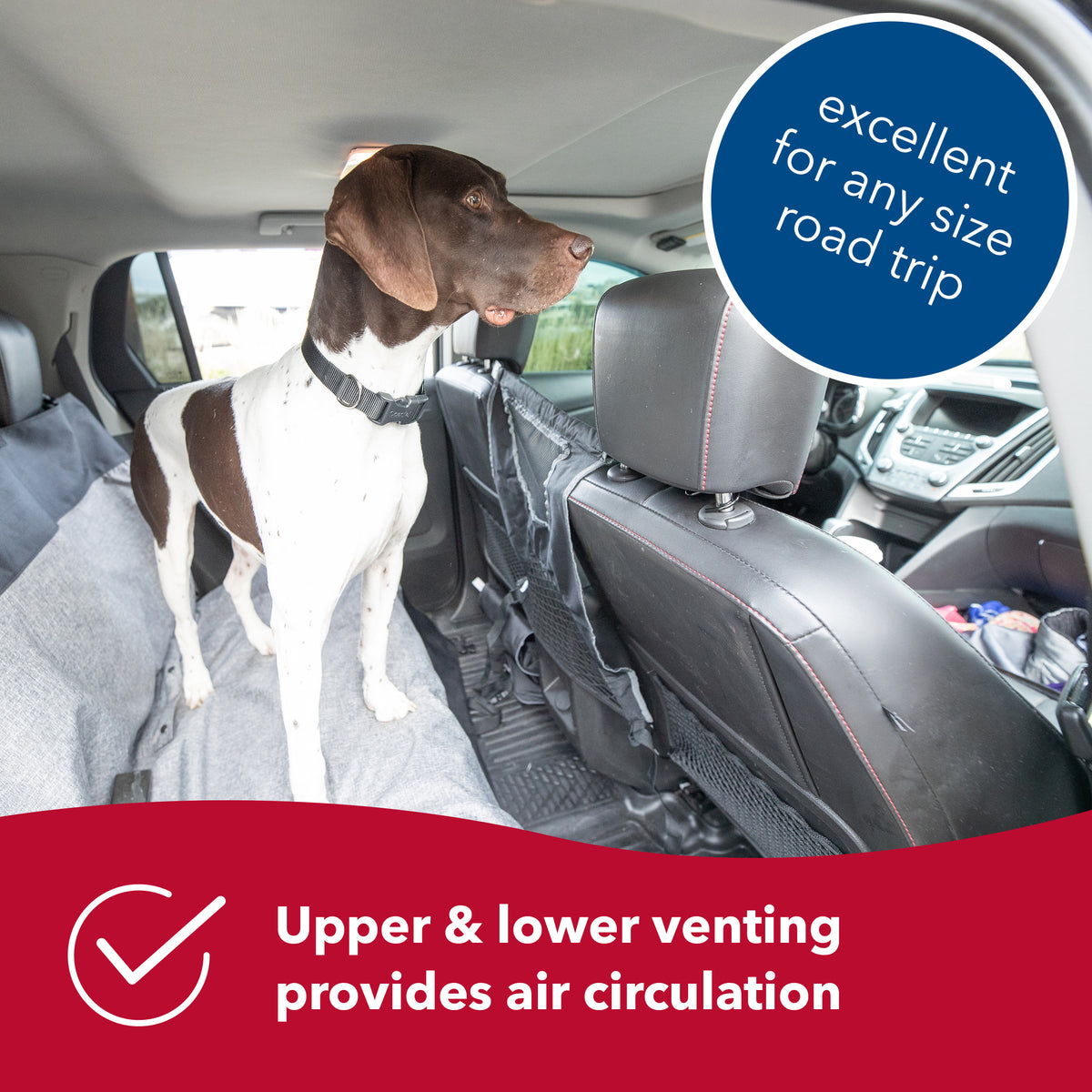 Bergan dog barrier mesh ventilation and rear-seat view
