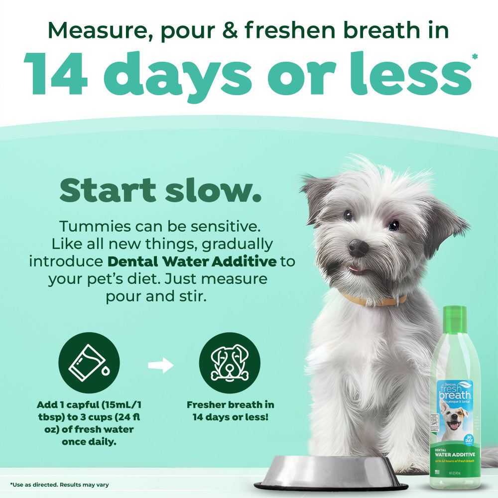 TropiClean Fresh Breath Oral Care Water Additive for Dogs & Cats – lifestyle image