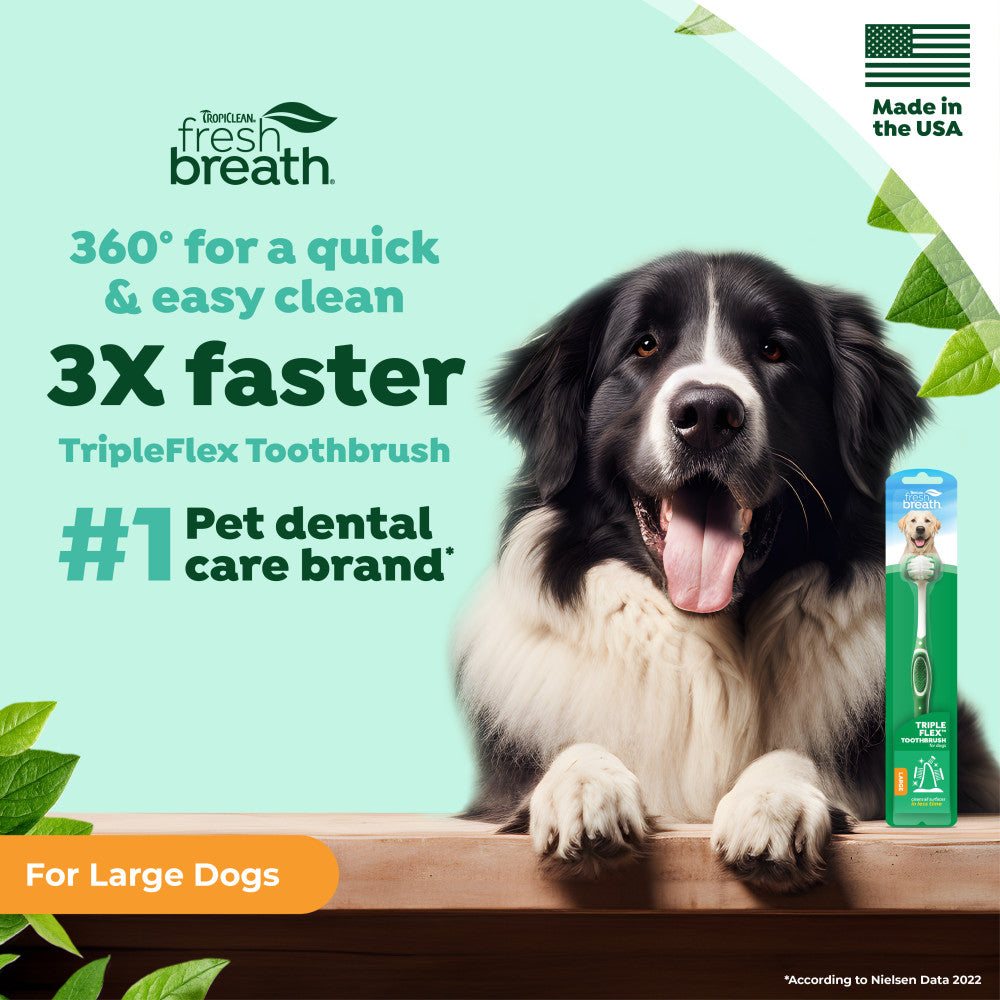 TropiClean Fresh Breath Triple Flex Toothbrush for Large Dogs – lifestyle image
