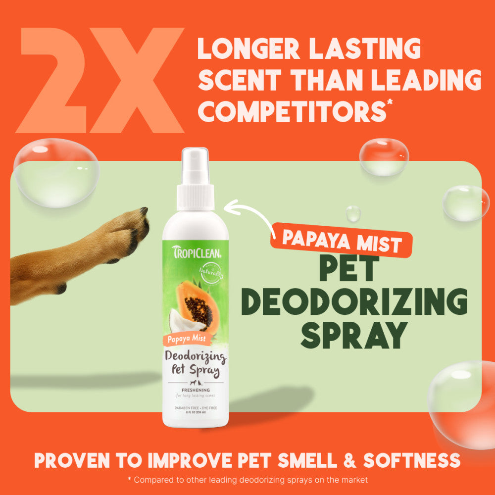 TropiClean Papaya Mist Deodorizing Spray for Dogs & Cats – lifestyle image