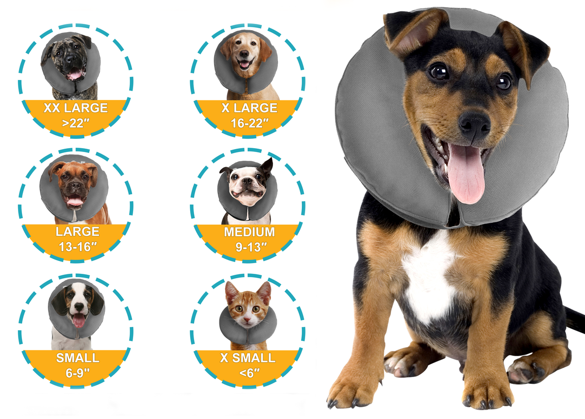 ZenPet ZenCollar — manufacturer sizing chart, X-Small through XX-Large